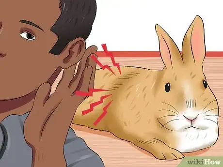 Imagen titulada Treat Digestive Problems in Rabbits Step 5