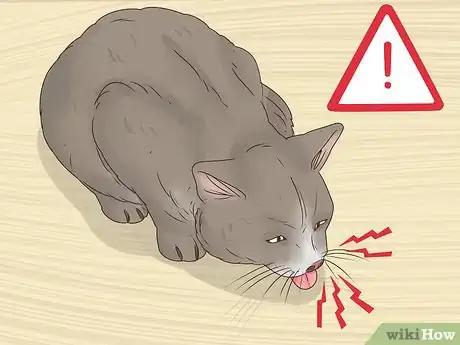 Imagen titulada Help a Cat Cough Up a Hairball Step 16
