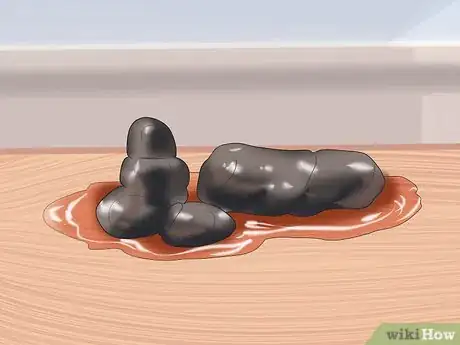 Imagen titulada Tell if Your Dog Has Parvo Step 6