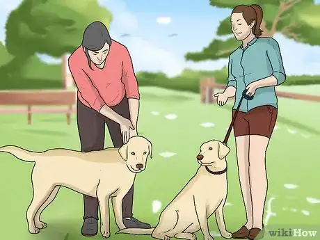 Imagen titulada Introduce a New Dog to Your House and Other Dogs Step 13
