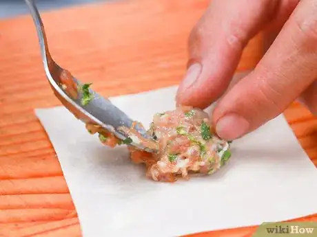 Imagen titulada Wrap Wontons Step 3
