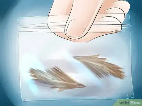 Imagen titulada Get Rid of Bagworms Step 8