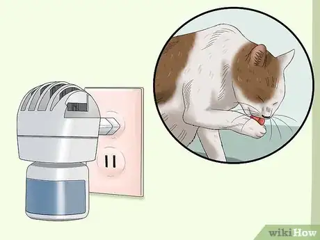 Imagen titulada Stop a Cat from Pulling Its Hair Out Step 10