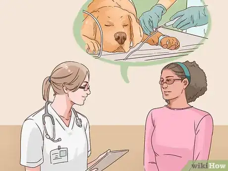 Imagen titulada Determine if You Should Euthanize Your Dog Step 7