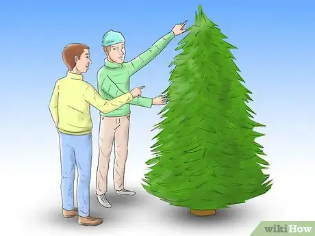 Imagen titulada Care for a Christmas Tree Step 1