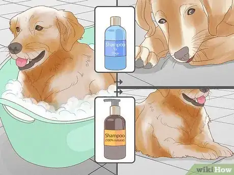 Imagen titulada Stop a Dog from Licking Its Paws with Home Remedies Step 9