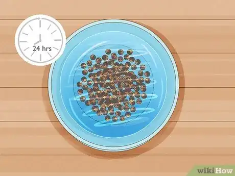 Imagen titulada Grow Monkey Grass from Seed Step 2
