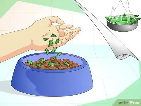 Imagen titulada Add Fiber to a Dog's Diet Step 5