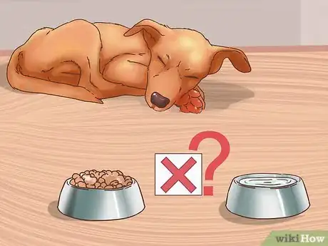 Imagen titulada Determine if You Should Euthanize Your Dog Step 3