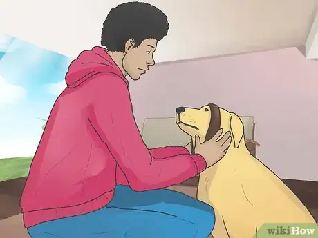 Imagen titulada Introduce a New Dog to Your House and Other Dogs Step 31