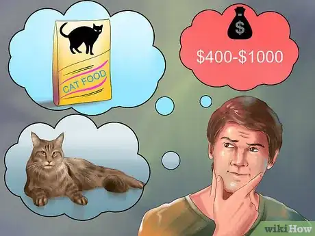 Imagen titulada Identify a Maine Coon Step 12