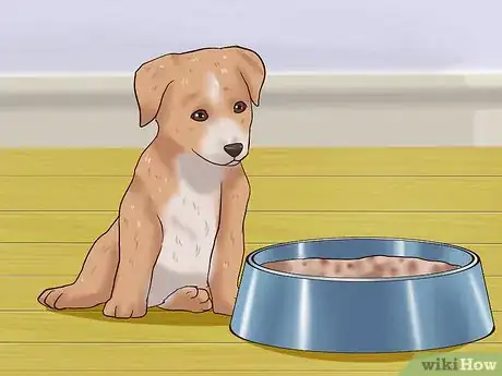 Imagen titulada Wean Puppies Step 3