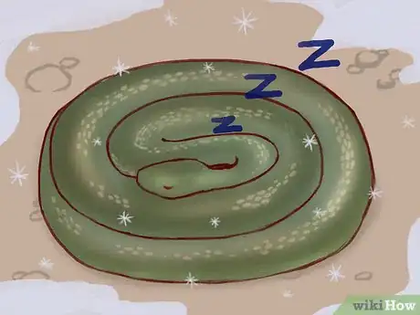Imagen titulada Treat a Snake Bite Step 21
