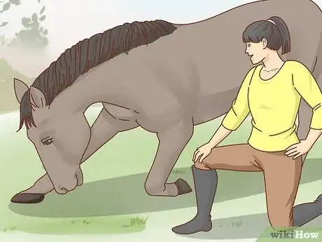 Imagen titulada Teach a Horse to Bow Step 16