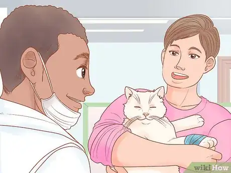 Imagen titulada Recognize Skin Cancer in Cats Step 13