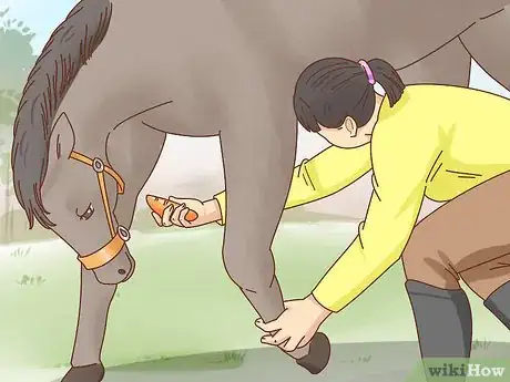 Imagen titulada Teach a Horse to Bow Step 12