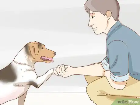 Imagen titulada Train Your Service Dog Without a Professional Trainer Step 3