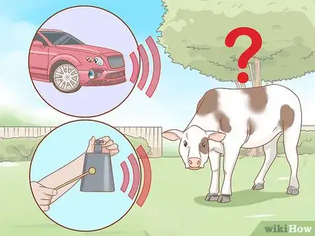 Imagen titulada Care for Cattle Step 12