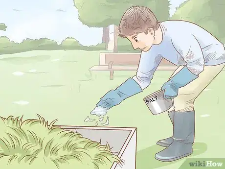 Imagen titulada Care for Cattle Step 10