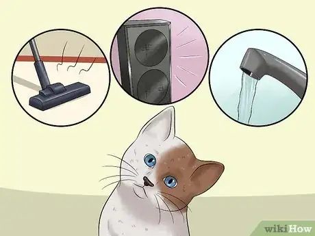 Imagen titulada Raise a Kitten Step 7