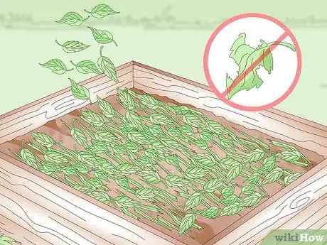 Imagen titulada Add Nitrogen to Compost Step 2
