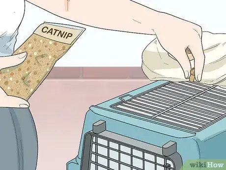 Imagen titulada Attract Cats Step 3