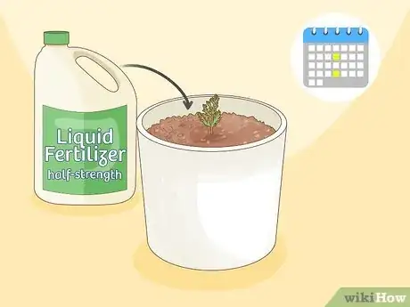 Imagen titulada Plant a Seed in a Pot Step 10