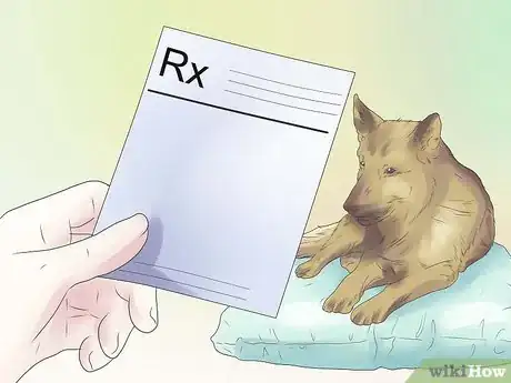 Imagen titulada Remove Ear Mites from a Dog Step 8