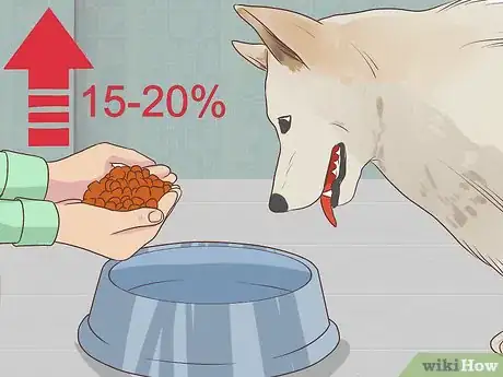 Imagen titulada Feed a Pregnant Dog Shortly Before Labor Step 6