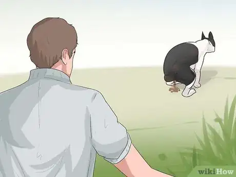 Imagen titulada Train Boston Terriers Step 6