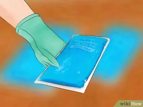 Imagen titulada Ship Foods with Dry Ice Step 4