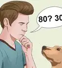 calcular la edad de los perros