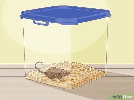 Imagen titulada Humanely Kill a Rodent Step 4