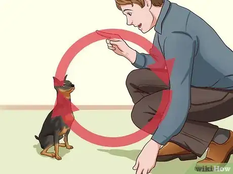 Imagen titulada Care for a Miniature Pinscher Step 11