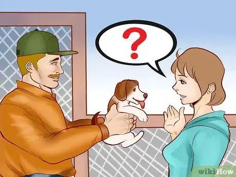 Imagen titulada Identify a Beagle Step 11