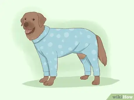 Imagen titulada Make Dog Clothes Step 1