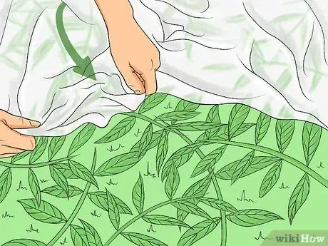Imagen titulada Clean Roof Shingles Step 3