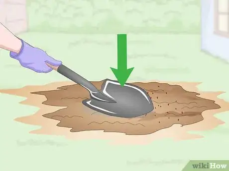 Imagen titulada Get Rid of an Ant Hill Step 14