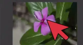 abrir archivos NEF en Photoshop