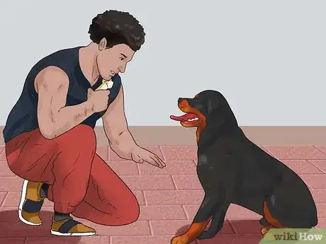 Imagen titulada Train a Rottweiler Step 14