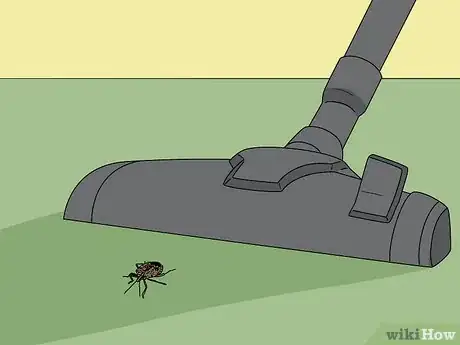 Imagen titulada Do Pest Control With a Vacuum Cleaner Step 8