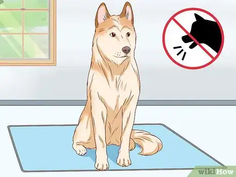 Imagen titulada Tell if a Dog Is Pregnant Step 16