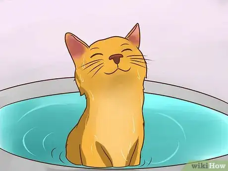 Imagen titulada Treat Lice in Cats Step 16