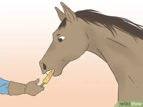 Imagen titulada Get a Horse Fit Step 16