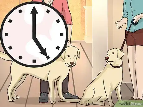 Imagen titulada Introduce a New Dog to Your House and Other Dogs Step 32