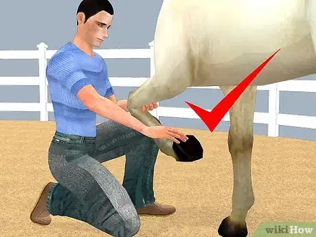 Imagen titulada Look After a Horse Step 10