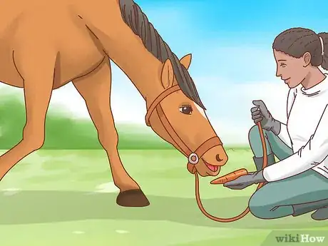 Imagen titulada Teach a Horse to Bow Step 10