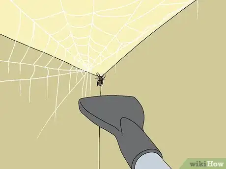 Imagen titulada Do Pest Control With a Vacuum Cleaner Step 4