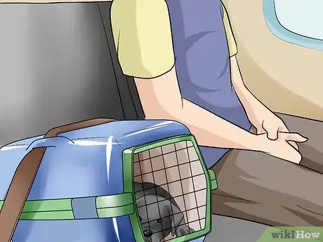 Imagen titulada Pick Up a Puppy Step 18