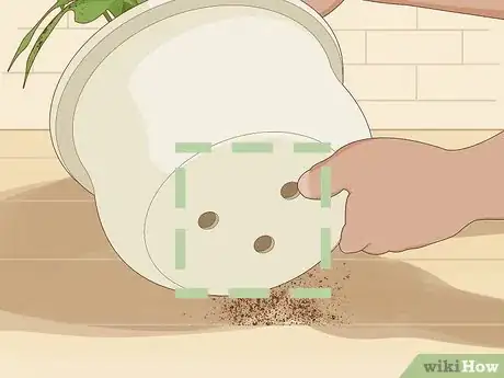 Imagen titulada Save an Overwatered Plant Step 5